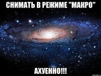 снимать в режиме "макро" ахуенно!!!