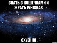 спать с кошечками и жрать whiskas охуенно