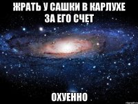 жрать у сашки в карлухе за его счет охуенно