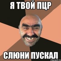 я твой пцр слюни пускал