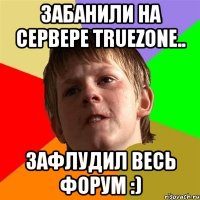 забанили на сервере truezone.. зафлудил весь форум :)