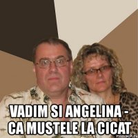  vadim si angelina - ca mustele la cicat