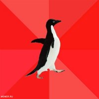 пришел в многолюдное место с взрывчаткой, Мем  социально-агрессивный пингвин