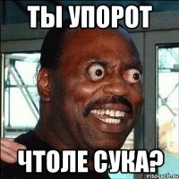 ты упорот чтоле сука?