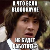 а что если bloodrayne не будет работать?