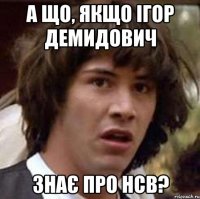 а що, якщо ігор демидович знає про нсв?