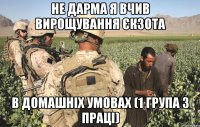 не дарма я вчив вирощування єкзота в домашніх умовах (1 група з праці)