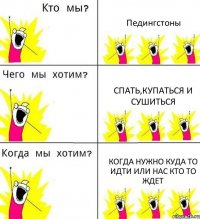 Педингстоны Спать,купаться и сушиться Когда нужно куда то идти или нас кто то ждет