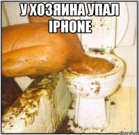 у хозяина упал iphone 