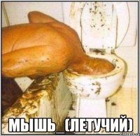  мышь_(летучий)