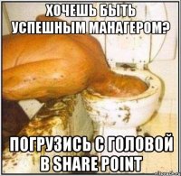 хочешь быть успешным манагером? погрузись с головой в share point