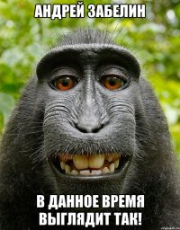 андрей забелин в данное время выглядит так!