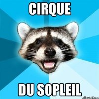 cirque du sopleil