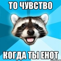 то чувство когда ты енот