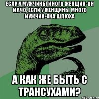 если у мужчины много женщин-он мачо, если у женщины много мужчин-она шлюха а как же быть с трансухами?