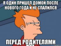 я один пришел домой после нового года и не спалился перед родителями