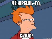 чё жрешь-то, сука?