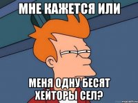 мне кажется или меня одну бесят хейторы сел?