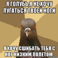 я голубь,я не хочу пугаться твоей ноги я хочу сшибать тебя с ног низким полетом.