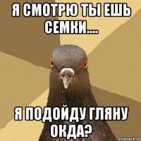 я смотрю ты ешь семки.... я подойду гляну окда?