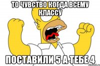 то чувство когда всему классу поставили 5 а тебе 4