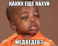 каких еще нахуй медведев?