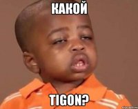 какой tigon?