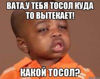 вата,у тебя тосол куда то вытекает! какой тосол?