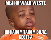 мы на wald weste на каком таком волд бесте ?