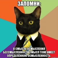 запомни: в смысле осмысления бессмысленности смысл тоже имеет определённую осмысленность.