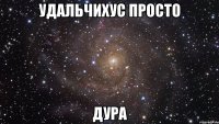 удальчихус просто дура