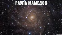 рауль мамедов 