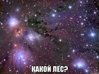  какой лес?