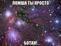 ломша ты просто ботан!