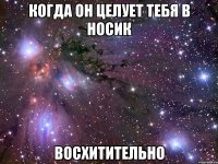 когда он целует тебя в носик восхитительно