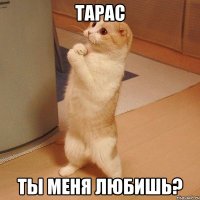 тарас ты меня любишь?