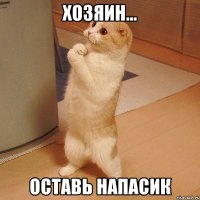 хозяин... оставь напасик