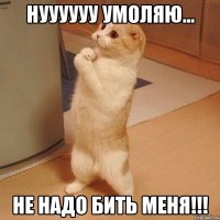 нуууууу умоляю... не надо бить меня!!!