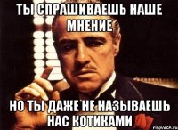 ты спрашиваешь наше мнение но ты даже не называешь нас котиками