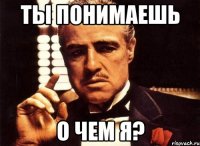 ты понимаешь о чем я?