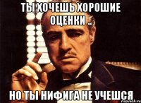 ты хочешь хорошие оценки .. но ты нифига не учешся