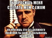 ты просишь меня сделать мем с ежом но просишь это без должного уважения,ты даже не называешь меня само