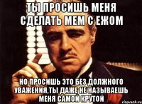 ты просишь меня сделать мем с ежом но просишь это без должного уважения,ты даже не называешь меня самой крутой