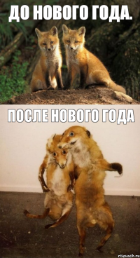 До Нового года. После Нового года