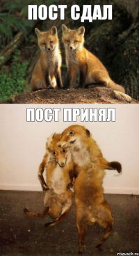 пост сдал пост принял