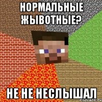 нормальные жывотные? не не неслышал