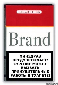 Минздрав предупреждает! Курение может вызвать принудительные работы в туалете!