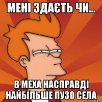 мені здаєть чи... в меха насправді найбільше пузо села