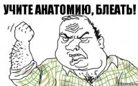 Учите анатомию, блеать!