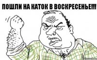 пошли на каток в воскресенье!!!